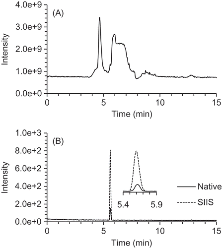 Figure 2. A: Total ion and B: MRM chromatograms of tryptic digestion products from the whole sweet pepper protein extract. B: Solid (native) and dotted (SIIS) lines indicate data monitored with MRM transitions for quantification. The enlarged area of the chromatogram (5.4–5.9 min) correspond to GQTWVINAPR and GQTWVINAPR[13C6,15N4].