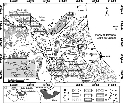 Fig. 1 (a) Localisation géographique, (b) localisation des grands ensembles morphostructuraux, et (c) carte géologique de la partie septentrionale du bassin de la Jeffara (extraite des cartes géologiques d’El Hamma, Gabès, Oglet Mertba et Mereth à 1/100 000). 1 et 2: Ville, 3: Forage pétrolier, 4: Oued, 5: Sebkha, 6: Quaternaire, 7: Mio-Pliocène, 8: Sénonien supérieur, 9: Sénonien inférieur, 10: Turonien, 11: Cénomanien-Turonien basal, 12: Apto-Albien, 13: Crétacé inférieur, 14: Faille certaine, 15: Faille géophysique, et 16: Trait de coupe.