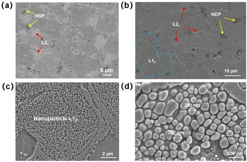 Figure 7. SEM images of EBPBF samples with various precipitates. (a) Surface topography of the sample after 30 s of corrosion. (b) Precipitation phases in BSE mode. (c) Nanoparticles L12. (d) Enlarged view of the L12 nanoparticles.