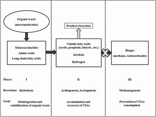 Figure 1. Schematic flow of the reactions involved in formation of volatile fatty acids coupled with the product extraction during anaerobic digestion.