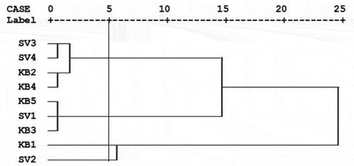 Figure 1. Grouping of pear genotypes based on measured characteristics by Ward method