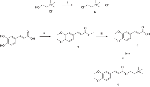 Figure 4.  Synthesis of compound 1. Reagents and conditions: (i) SOCl2, reflux; (ii) (MeO)2SO2, K2CO3, THF, reflux; (iii) NaOH, dioxane/H2O, pH 12–14, r.t.; (iv) K2CO3, dioxane/H2O, r.t.; and (v) DMSO, chlorocholine chloride (6), 60°C.