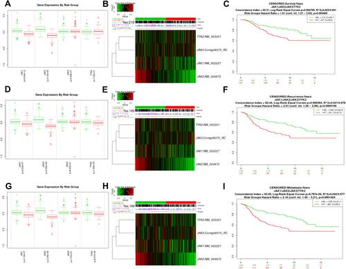 Figure 3 The prognostic values of JAK member signature in BC via SurvExpress platform. (A, D, G) The mRNA expressions of JAK1/JAK2/JAK3/TYK2 between the high- and low-risk groups; (B, E, H) The heat maps of mRNA expression of JAK1/JAK2/JAK3/TYK2; (C, F, I) Survival curves of JAK signature between the high- and low-risk groups.