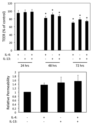 Figure 5. IL-13 induces airway epithelial barrier dysfunction similar to IL-4. (A) 16HBE cells were incubated with IL-4 or IL-13 (50 ng/ml each) alone or in combination followed by analysis of TEER over time (A) or paracellular permeability to 3-kDa dextran after 72 h (B). Results in (A) are normalized to control TEER, which was set as 100. Data are the mean ± SEM of n = 3 experiments. * indicates p < 0.05 compared with the control cells.