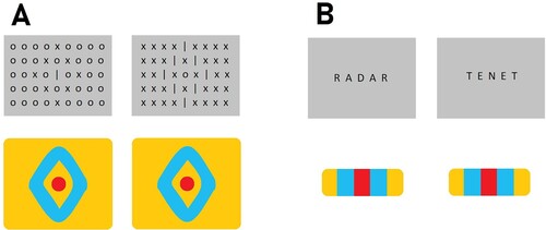 Figure 1. Perceptual grouping by similarity. In the classic example (A), both visuals spark the same percept of a unique object located in the centre of a diamond-shaped arrangement, irrespective of the identities of individual items. Analogously, in word recognition (B), both strings would activate the same configurational representation, irrespective of letter identity.