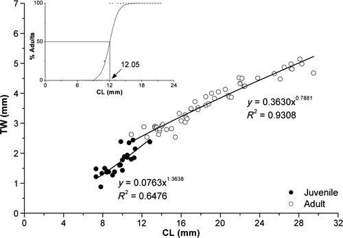 Figure 22. Xiphopenaeus kroyeri, relationship TW vs. CL and CL50 for females.