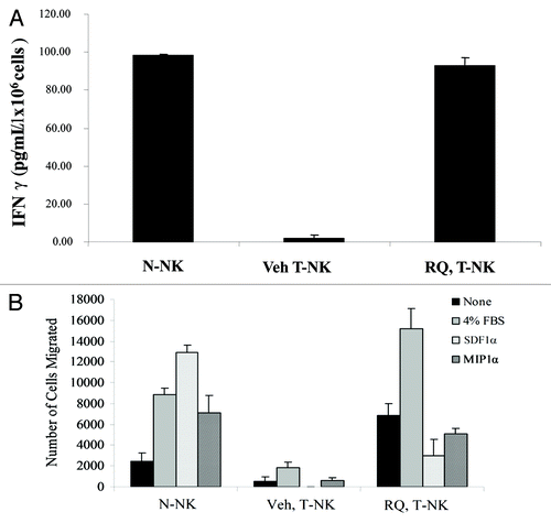 Figure 4. RQ-15986 rescues NK-cell functions in vivo. (A) NK cells were isolated from the spleens of normal mice (N-NK) or tumor-bearing mice (T-NK) that were treated with vehicle or 100 mg/Kg RQ-15986 twice a day by oral gavage for 21 d, and then stimulated in vitro with interleukin-2 (IL-2) for 18 h. Finally, interferon γ (IFNγ) secretion in culture media was assayed by ELISA. (B) N-NK and T-NK were isolated as in (A) and their migratory ability in response to 4% fetal bovine serum (FBS), 100 nM stromal cell derived factor 1α (SDF1α) and 100 nM macrophage inflammatory protein 1α (MIP1α) was determined.