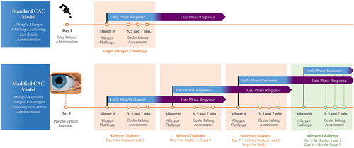 Figure 1. Standard vs. modified CAC model. The standard CAC model (Top) consists of a single allergen challenge. The standard CAC model was modified in the present study (Bottom) to include multiple, repeated allergen challenges during subsequent visits. Subjects were repeatedly challenged to induce an acute reaction in the presence of late phase inflammation in addition to the inflammation of the early phase.