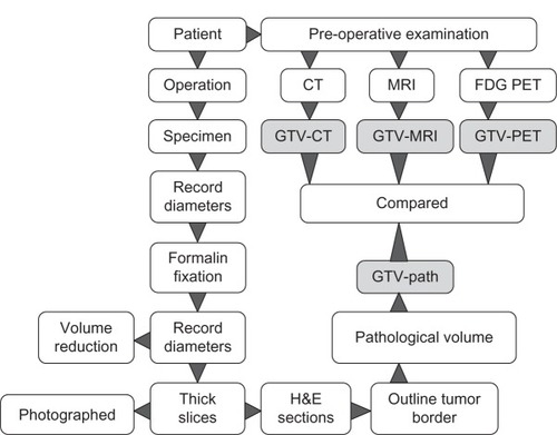 Figure 2 Workflow of image acquisition and pathological procedure.