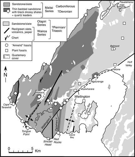 Figure 5  Map showing lithological and age divisions of the Wellington greywacke (after McKay 1879a,b; 1888). Localities of fossil plants from Crawford (1864b, 1869b) and McKay (1879a). ‘C’ = section at Pauatahanui Inlet where plant fossils were first found by Crawford in 1863. Localities of Torlessia mackayi from McKay (1879a,b, 1894). Distribution of semischistose greywacke (=?Devonian—Lower Carboniferous rocks of McKay 1879a) is after Begg and Mazengarb (Citation1996).