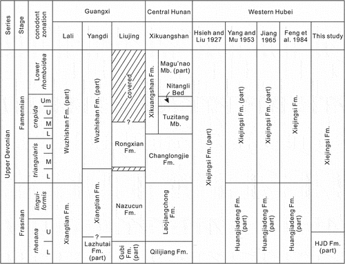 Figure 8. Stratigraphic correlation of the Xiejingsi Formation in western Hubei with other contemporary horizons in South China. Data from: Lali (Ji and Ziegler Citation1993); Yangdi (Huang and Gong Citation2016); Liujing (Ji Citation1994), Kuang et al. (Citation1989) noted that the upper part of the Rongxian Formation is covered by the Tertiary; Xikuangshan (Ji Citation1989; Ma and Bai Citation2002; Ma and Sun Citation2008; Ma et al. Citation2016). Abbreviations: Fm.: Formation, Mb.: Member.