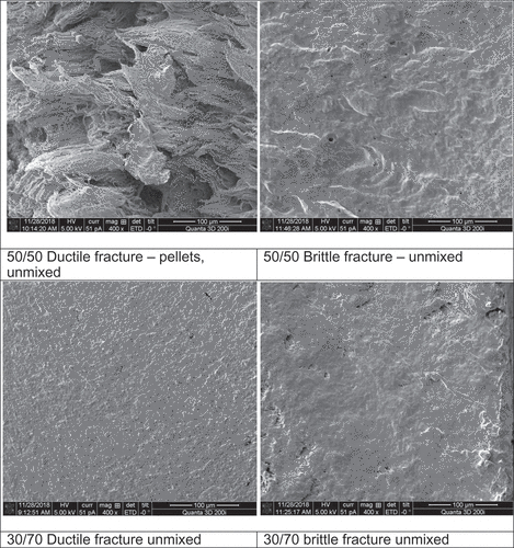 Figure 3. (Continued)