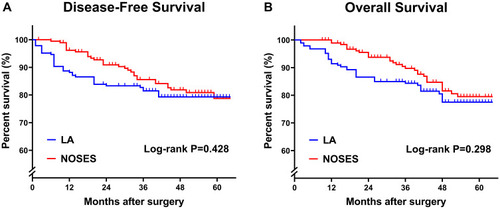 Figure 6 Kaplan–Meier curves comparing the differences between the two groups in terms of disease-free survival (A) and overall survival (B). P-value is calculated by Log rank test.