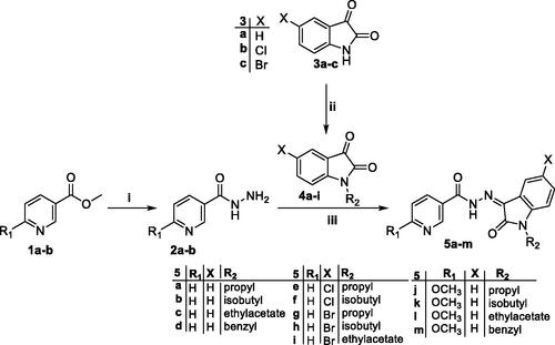 Scheme 1. Synthesis of target isatin hybrids 5a–m; (i) NH2NH2.H2O/methanol/reflux 4 h, (ii) R1-Br/DMF/KI (Cat.)/K2CO3/reflux 3 h, (iii) Ethanol absolute/drops glacial acetic acid (Cat.)/reflux 6 h.