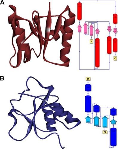 Figure 2 The hierarchical patterns of domains 1 and 2 of target protein BRCA1.