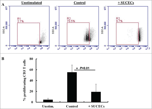 Figure 5. SUCECs inhibit proliferation of (T)cells: SUCECs were cultured with CFSE labeled PBMCs at 1:10 ratio in 24-well plates. The cultures were stimulated with PHA (5 μg/ml) for 72 h. Proliferation of T cells cultured with or without SUCECs was examined by flow cyometry. (A) Representative dot plots of proliferating T cells are shown. (B) The data were expressed as mean ± SD of% proliferating T cells. The experiments were performed with 2 different SUCECs and 3 different PBMCs.