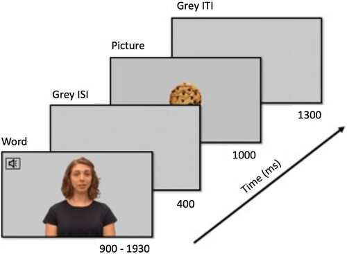 Figure 1. Single trial design. Subjects were presented with an audiovisual clip of a woman saying a word for 900-1930ms, followed by an ISI of 400 ms, a picture that lasted 1000 ms and an ITI of 1300 ms. The pictures either semantically matched the spoken word (congruent condition) or did not match the spoken word (incongruent condition).