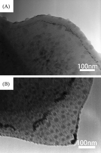 Figure 6. TEM micrographs of the r001b21 specimen during and after heating in TEM. (A) Observed at around 800 °C. (B) The edge of the same specimen after heating up to 1040 °C and then cooled down to room temperature.