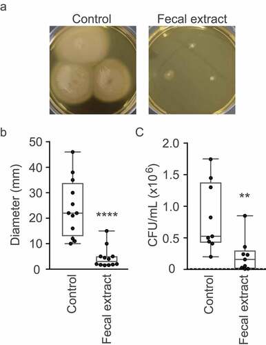 Figure 5. Effect of the fecal extract on V. cholerae motility and mucin penetration