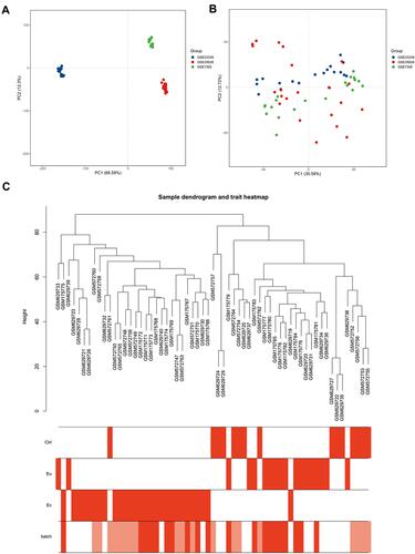 Figure 1 Gene expression patterns across datasets. (A and B) Principal component analysis (PCA) of gene expression profiles without (A) and with (B) the removal of batch effect. (C) Sample cluster dendrogram and clinical trait heat map of 15 Ctrl, 18 Eu and 28 Ec samples. The batch row corresponded to the sample series: white, GSE25628; pink, GSE23339; red, GSE7305.