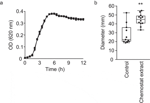 Figure 7. Impact of chemostat extract on V. cholerae growth and motility in vitro.