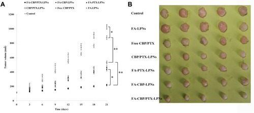 Figure 7 In vivo anti-tumor effect of the LPNs evaluated in terms of tumor volume (A) and tumor images (B). Data presented as mean ± SD (n=5), *P < 0.05 and **P < 0.01.