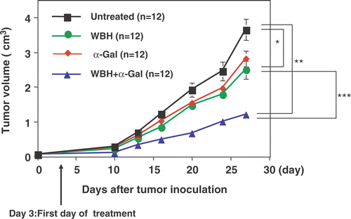 Figure 4. Antitumor effect of WBH combined with α-Galcer in the Colon26 subcutaneous tumor model: mice were injected subcutaneously with Colon26 cells and tumors were allowed to grow for three days before initiation of treatment with WBH and/or α-Galcer. In WBH with α-Galcer treatment, the α-Galcer (100 μg/kg) was administered intraperitoneally immediately before WBH. Values are the means ± SEM of 12 mice. *P < 0.01, **P < 0.0001 compared with untreated group. ***P < 0.01 compared with WBH alone.