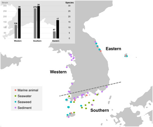 Figure 1. Map showing the location of sampling sites and bar graph with the number of Aspergillus strains and species isolated from each seaside. The colored dots indicate the habitats: marine animal (red), seawater (green), seaweed (blue), sediment (purple).