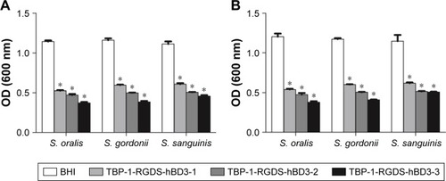 Figure 4 Antibacterial effects of TBP-1-RGDS-hBD3-1, TBP-1-RGDS-hBD3-2, and TBP-1-RGDS-hBD3-3 against single-species (Streptococcus oralis, Streptococcus gordonii, or Streptococcus sanguinis) biofilms. Biofilms treated with the three peptides (1/2 MIC) were incubated for (A) 24 hours or (B) 72 hours. Data are shown as the mean ± SEM; n=3. *P<0.01 compared with the control groups.Abbreviations: MIC, minimal inhibitory concentration; SEM, standard error of the mean.