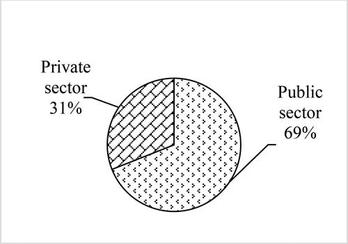 Figure 4. Participants’ working sector.