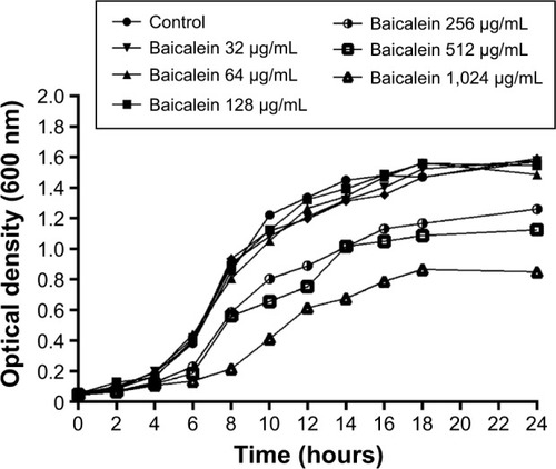 Figure 2 Growth curves of Pseudomonas aeruginosa PAO1 incubated with different concentrations of baicalein.