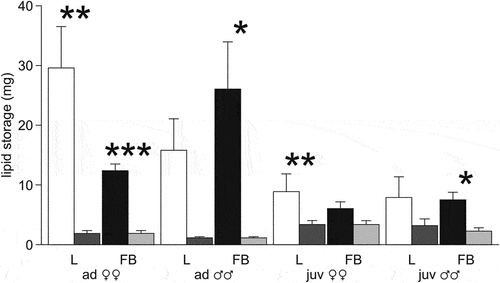 Figure 6. Total lipid storage (mg) in the liver (L) and fat bodies (FB) of the moor frogs in autumn and after freezing to −6°C. Autumn (control) – white and black columns; freezing (experiment) – gray columns; mean ± SEM; asterisks indicate significant differences between control and experimental group (*P < 0.05; **P < 0.01; ***P < 0.001).