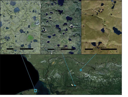 Figure 4. Examples of generalized lake landscapes: ice-rich thaw lake plain (left), ice-rich deep silt (center), and glacial deposits with low to moderate ice content (right). The former two landscapes have lakes of mainly thermokarst origin and outlines of drained former lakes are visible on the images.