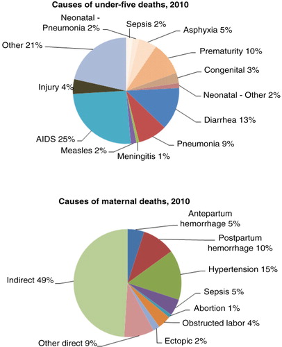 Fig. 1 Causes of child, newborn and maternal deaths in SA used in the LiST model. Adapted from MRC BOD, 2010.
