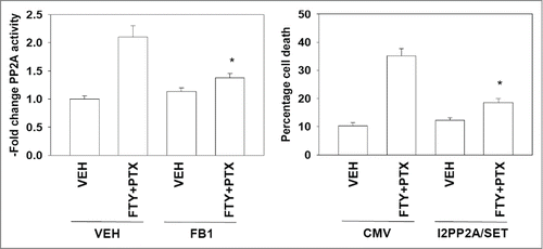Figure 6. Pemetrexed and FTY720 activate PP2A in a ceramide-dependent fashion. Left graph: BT474 were pre-treated with vehicle or fumonisin B1 (FB1, 25 μM), then with vehicle or with pemetrexed (PTX, 0.5 μM) and FTY720 (FTY, 0.25 μM) in combination. After 12h cells were isolated and the activity of PP2A determined (n = 3 +/− SEM). Right graph: BT474 cells were transfected with an empty vector plasmid (CMV) or a plasmid to express I2PP2A/SET (VIK-SSS). Twenty four h after transfection cells were treated with Vehicle (VEH) or with pemetrexed (PTX, 0.5 μM) and FTY720 (FTY, 0.25 μM) in combination. Twenty four h after drug treatment cells were isolated and viability determined by trypan blue exclusion assay (n = 3, +/− SEM).