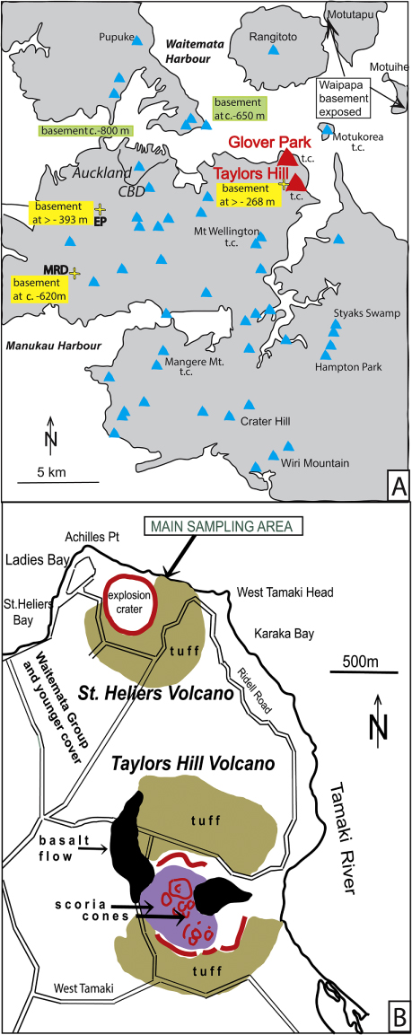 Figure 2 The St Heliers Volcanoes. A, Location of the volcanoes (red triangles) within the Auckland Volcanic Field (blue triangles). Yellow rectangles: basement depths after Kenny et al. (Citation2011, 2012) and Edbrooke et al. (Citation1998). MRD: Mount Roskill drill hole, EP: Eden Park drill hole (E Shalev, IESE, University of Auckland, pers. comm. 2013). Green rectangles: basement depths after Davy (Citation2008). t.c.: volcano with xenoliths of terrigenous clastics (greywacke). B, Map of the St Heliers volcanoes, based on figure 6.6 in Searle (Citation1981).