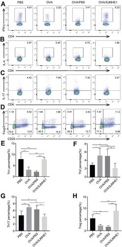 Figure 2 SJMHE1 treatment regulates Th cell distribution in the lungs of allergic mice. On day 29, the mice were killed, and the lungs of mice were tested for Th1/Th2/Th17/Treg subsets by flow cytometry. (A) CD4+IFN-γ+ Th1 cells, (B) CD4+IL-4+ Th2 cells, (C) CD4+IL-17+ Th17 cells, and (D) CD4+CD25+Foxp3+ Tregs in each group are shown. Data are representative of the experiments. (E) The proportion of CD4+IFN-γ+ Th1 cells, (F) CD4+IL-4+ Th2 cells, (G) CD4+IL-17+ Th17 cells, and (H) CD4+CD25+Foxp3+ Tregs in each group. Results are presented as mean±SEM of 18 mice from three independent experiments. *P < 0.05, **P < 0.01, ***P < 0.001.