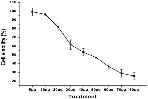 Figure 4. The cytotoxic effect of Ps-AgNPs on TPC1 cells assessed by MTT assay. The statistical analysis was carried out using one way ANOVA. Values are represented as mean ± SD of three experiments. p<.05 was significantly different from the control sample.