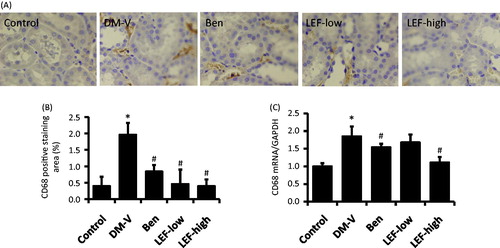 Figure 5. Renal CD68 expression in diabetic rats treated with vehicle, benazepril or leflunomide for 8 weeks. (A) Representative images showing CD68 staining in the kidney (Magnification = 400X). (B) CD68 staining intensity quantified using ImageJ. (C) Renal CD68 mRNA levels determined by real-time PCR. DM, diabetes mellitus group; V, vehicle; Ben, benazepril; LEF, leflunomide. Values are mean ± SEM; n = 8; *p < 0.05 versus control, #p < 0.05 versus vehicle-treated DM rats.