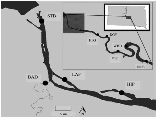 Figure 2. Sampling locations for water chemistry (all sites) and walleye Sander vitreus, including age-0 fish (all sites but DGY) and age ≥ 1 fish (all sites), in Lake Sharpe, South Dakota, between Fall 2012 and Fall 2014. Site abbreviations (upstream to downstream) are as follows: STB = Stilling Basin, BAD = Bad River, LAF = La Framboise Embayment, HIP = Hipple Lake Embayment, FTG = Fort George (mainstem), DGY = De Grey (mainstem), JOE = Joe Creek (mainstem), WBD = West Bend (mainstem), NOS = North Shore (mainstem). Modified from Radigan et al. (Citation2018b).