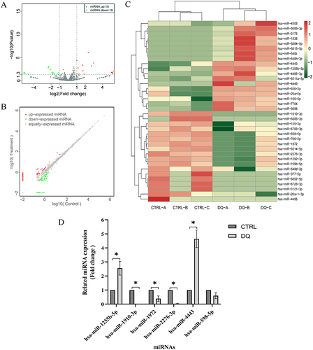 Figure 3 Profiles of the DE miRNAs. HK-2 cells were cultured in a medium containing 80 μmol/L diquat or an equivalent amount of PBS for 24 h.