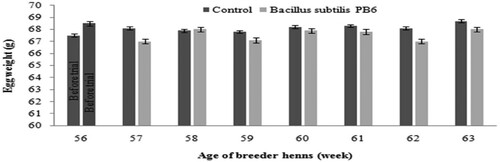 Figure 1. Effect of Bacillus subtilis PB6 supplementation on egg weight of broiler breeder hens during 57–63 weeks of age. Values are presented as means ± Standard error.