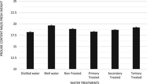 Figure 4. Effect of sewage water treatments on proline content of C. procera (n = 4, Mean ± S.E.).