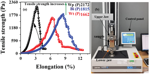 Figure 3. (a) Tensile strength and elongation results of weft, warp, and bidirectional interlocks (Warp direction), and (b) universal testing machine.