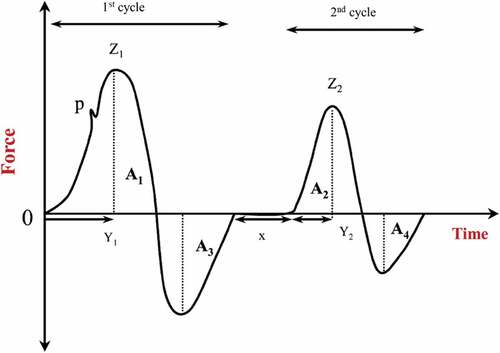 Figure 1. Typical instrument texture profile analysis (TPA) graph (Modified image from Liu et al.[Citation21]