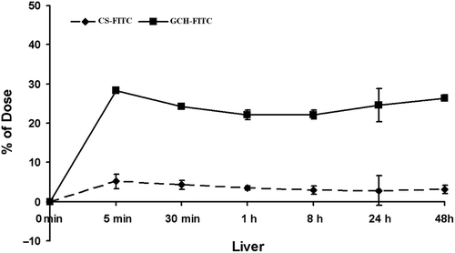 Figure 3. The biodegradability of CS-FITC and GCH-FITC in liver of ICR mice after i.v. at a dose of 0.2 mL per mouse. Each point represents the mean ± SD (n = 3).