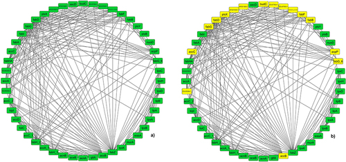 Figure 3 (a) The complete PPI network of FAB pathway proteins interacting with each other. The green hexagon denotes the nodes and black lines are the edges. (b) The MCODE results of cluster 1 are shown in PPI network marked in yellow.