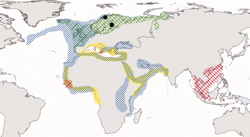 Figure 2. Breeding (green chequered area) and non-breeding (blue striped area) range of the L. fuscus (following Cramp and Simmons (Citation1983)). The recorded distribution of F. pallidus (yellow area) and F. albicostatus (red chequered area; see Stubbings (Citation1967); Newman and Ross (Citation1976); Zevina and Litvinova (Citation1970); Henry and Mclaughlin (Citation1975)) are also presented. Black dots indicate the two locations where L. fuscus were found carrying barnacles on the field-readable plastic rings ( Table 1).