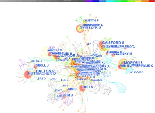 Figure 9. Map of co-authorship network.