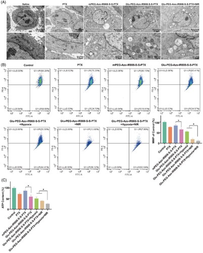 Figure 8. Mechanism of anti-tumor growth and metastasis through acting on the mitochondria. (a) Mitochondria ultrastructure observed by TEM; (b) Flow cytometric analyses of A549 cells staining with JC-1 probe after different treatments as indicated; (c) ATP content of cells after different treatments as indicated. * p ＜ 0.05. M: mitochondria.